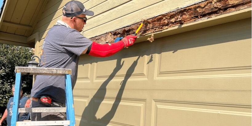 Preserving Your Home's Value with Santa Rita Drywall Repair's Dry Rot Solutions