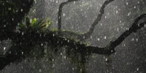 How White Noise Can Improve Sleep Quality and Concentration