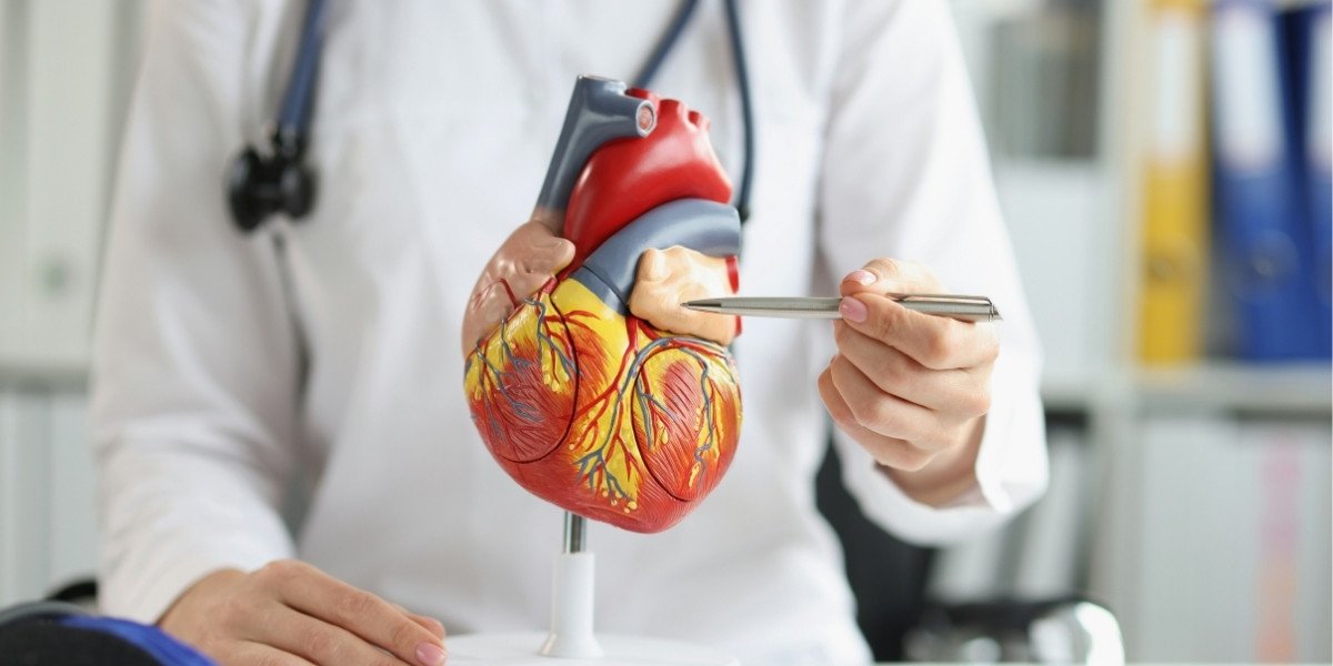 Enlarged Heart: Understanding Causes, Tests, and Treatment