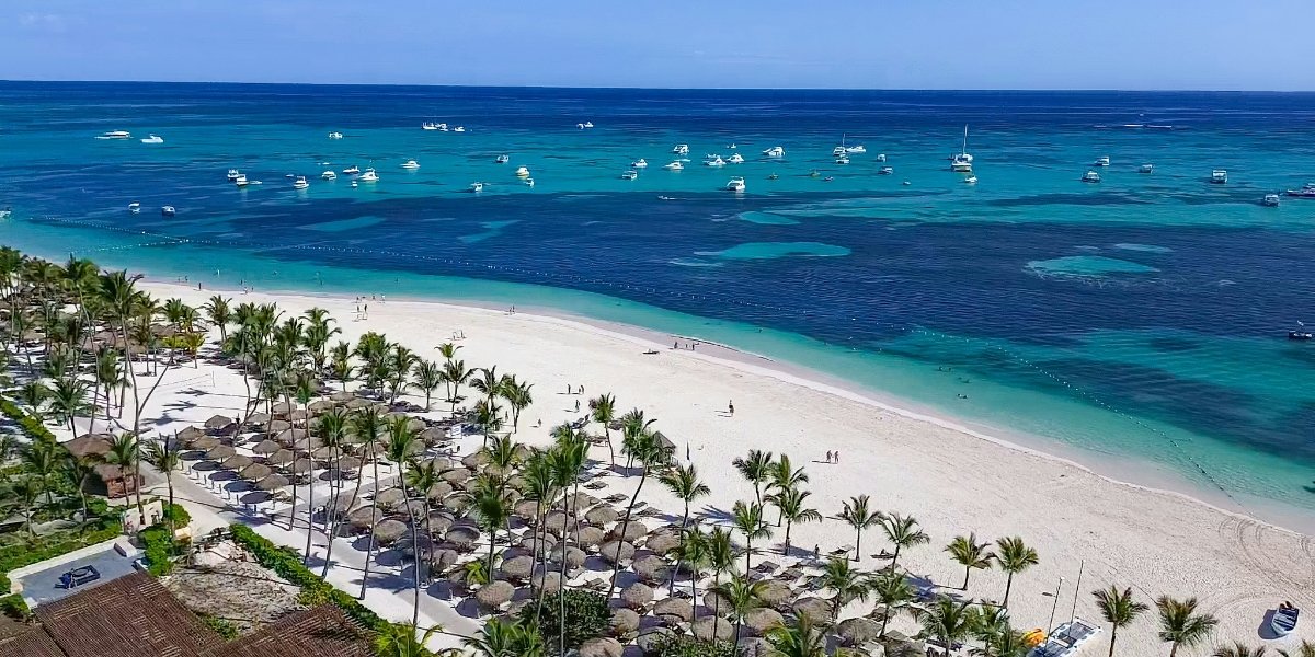 How Venus Williams Turned Her Palm Beach Wedding Into a Style Spectacle