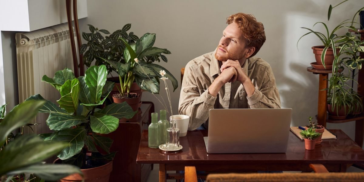 How Aggregated Platform Lists Help New Users Navigate Choices
